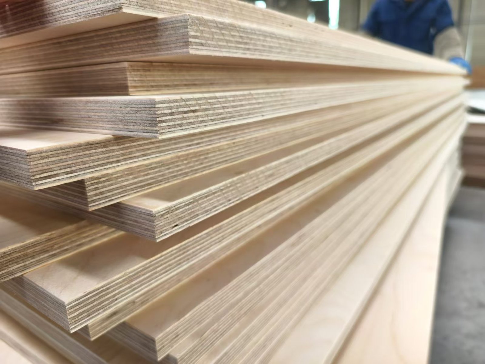 58northwood Inside Our Latvia Factory Premium 100% Birch Plywood Production_0001