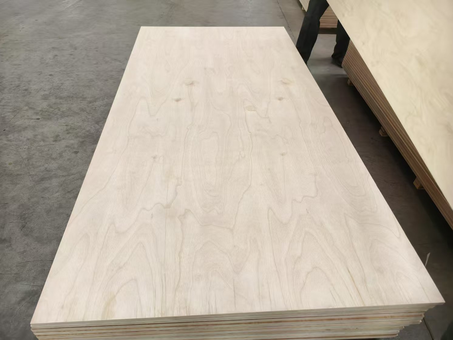 58northwood Inside Our Latvia Factory Premium 100% Birch Plywood Production_0001